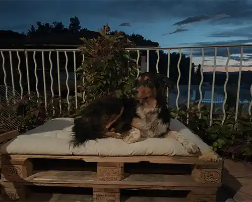 Camping les Oliviers à Oraison Forcalquier Luberon